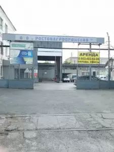 Фотография Диомаркет 1